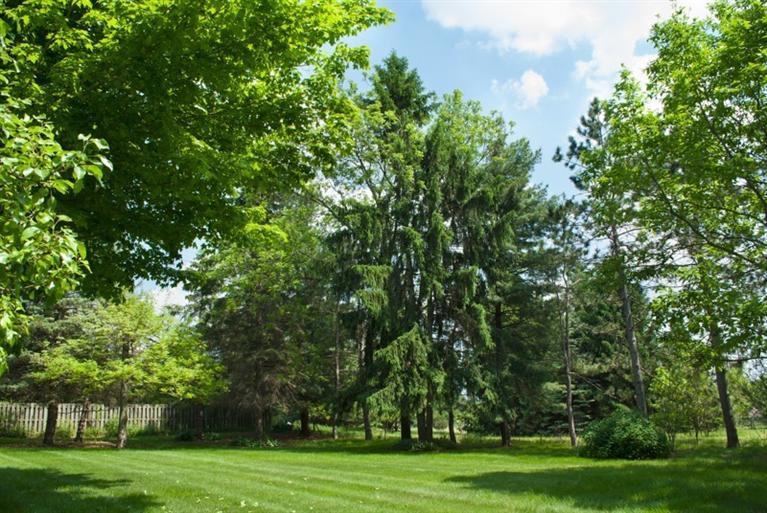 3395 Textile Road Saline, MI 48176 - Photo 28 of 29 Photo 28