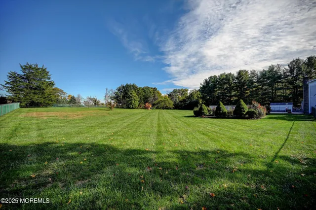 a view of a field with a big yard