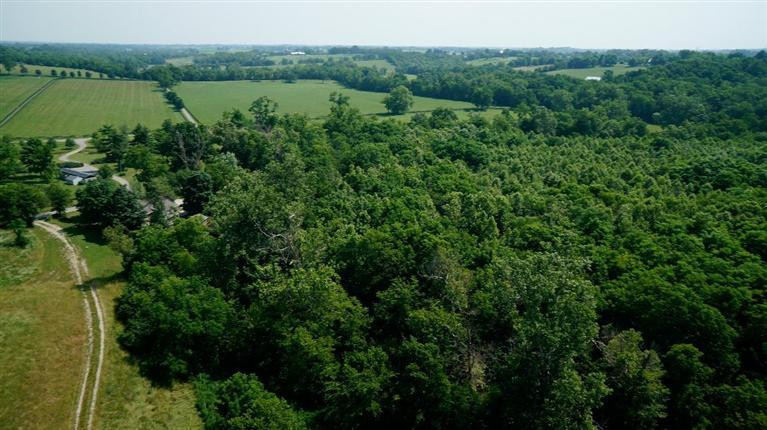 1 Paynes Mill Road Versailles, KY 40383 - Photo 19 of 36 Photo 19