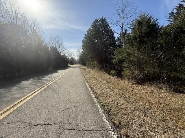 a view of a yard with large trees