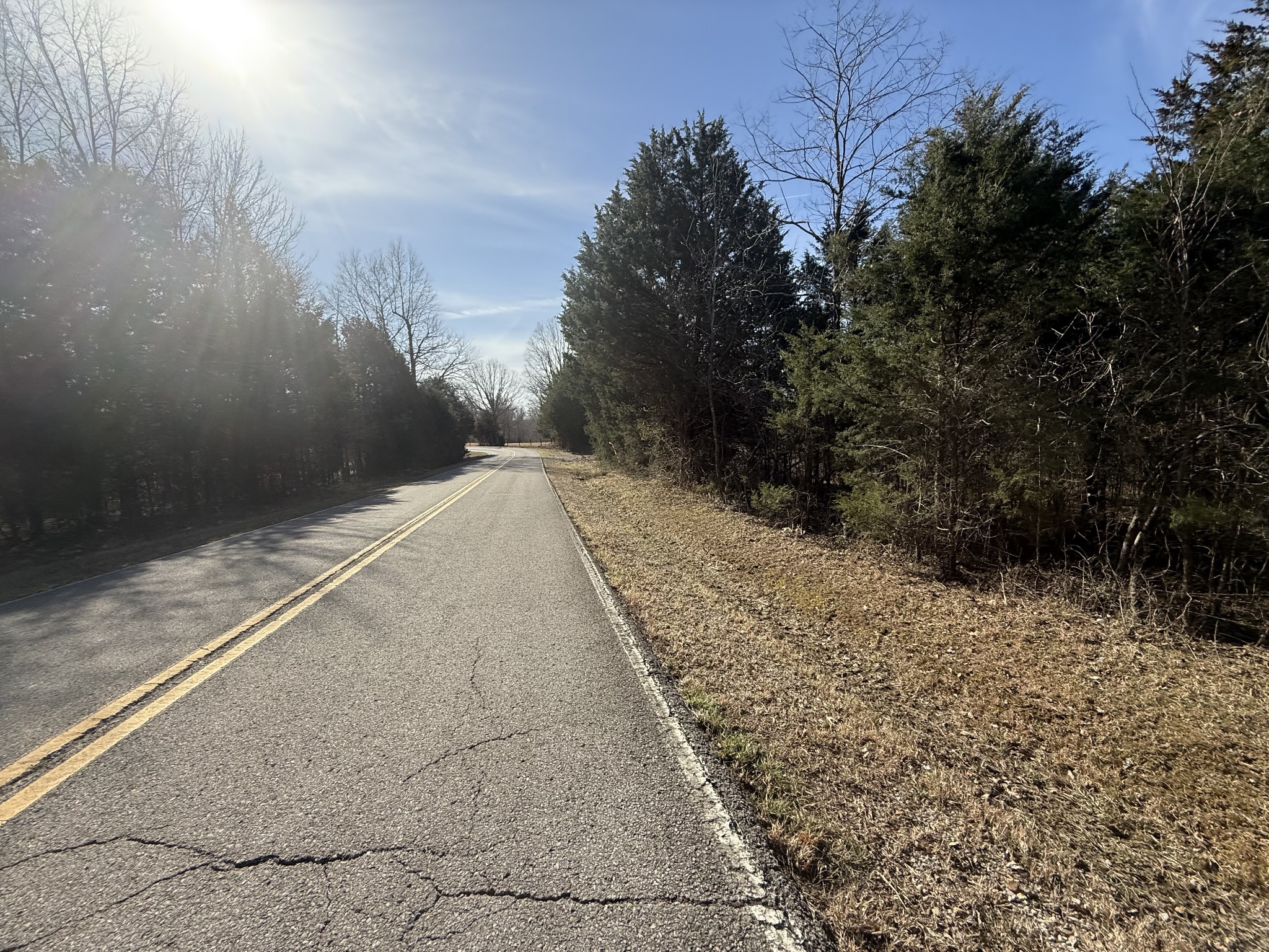 0 Grays Chapel Road Southside, TN 37171 - Photo 6 of 9 a view of a backyard