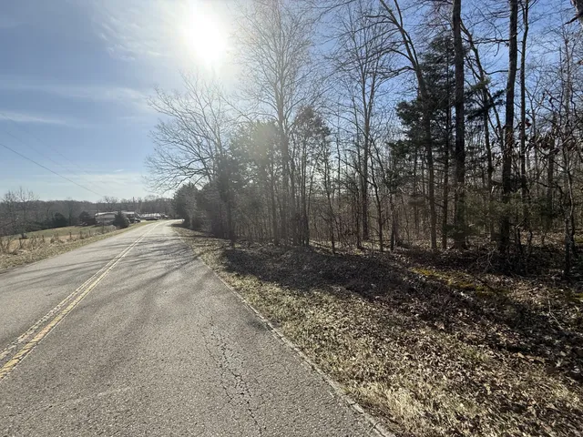 a backyard of a house with lots of trees