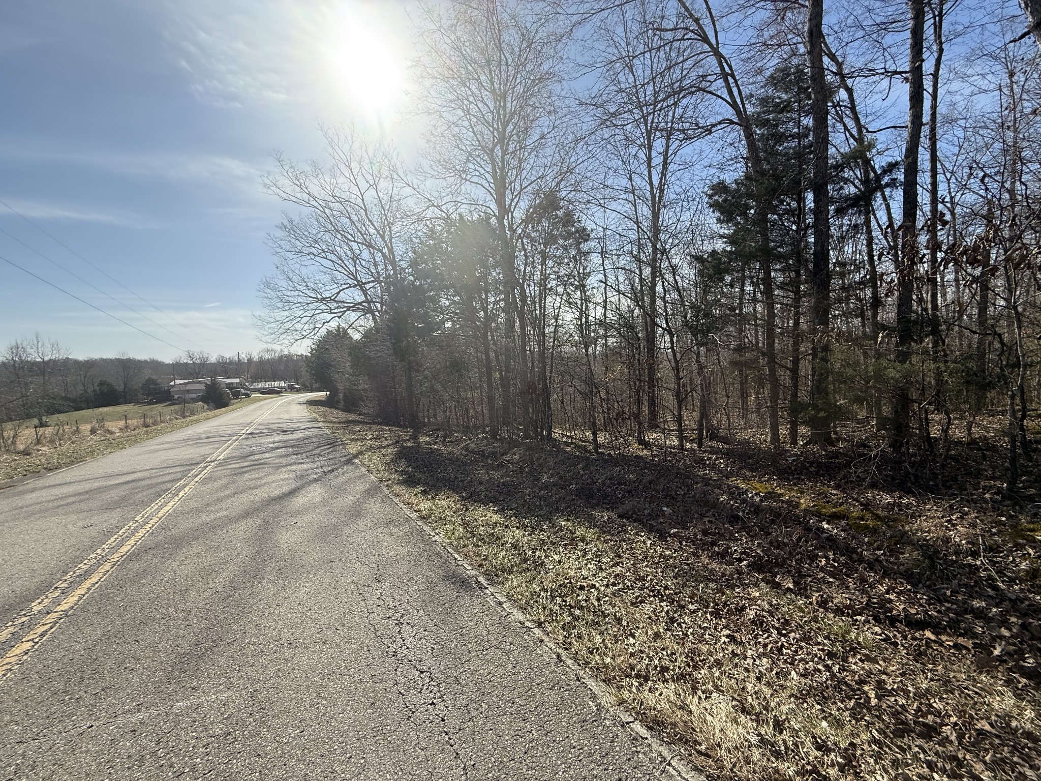 0 Grays Chapel Road Southside, TN 37171 - Photo 7 of 9 a view of a yard with large trees