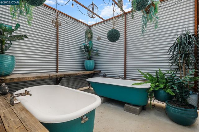 a bathroom with a sink and a potted plant