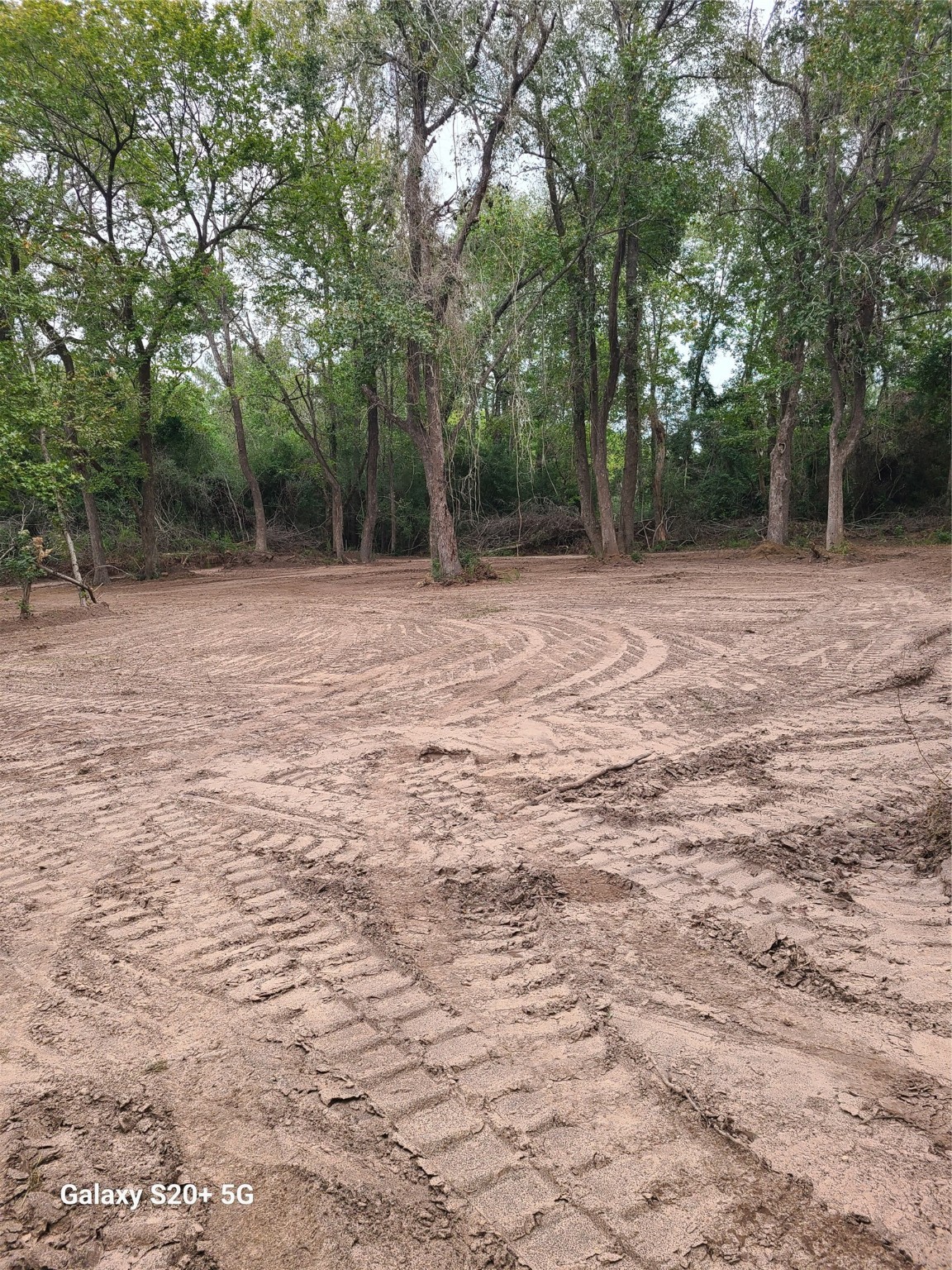 a backyard of a house with lots of trees