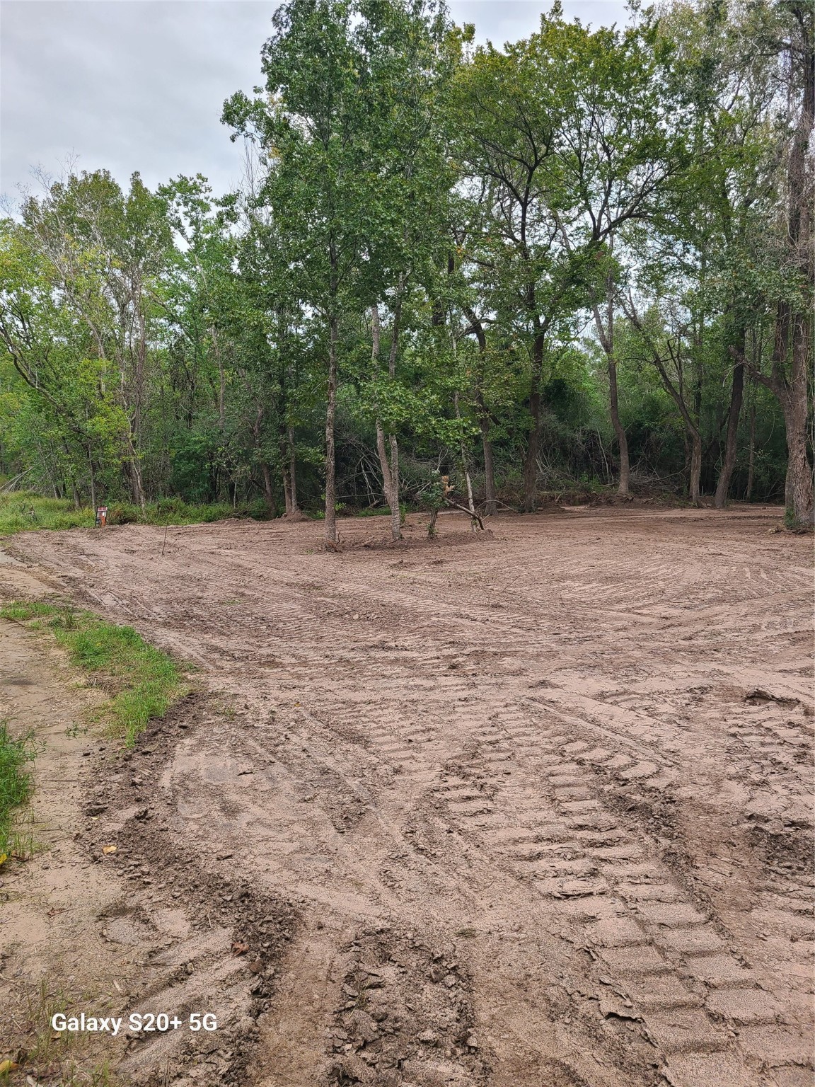 0102 Hardy Street Houston, TX 77073 - Photo 3 of 6 a backyard of a house with lots of green space