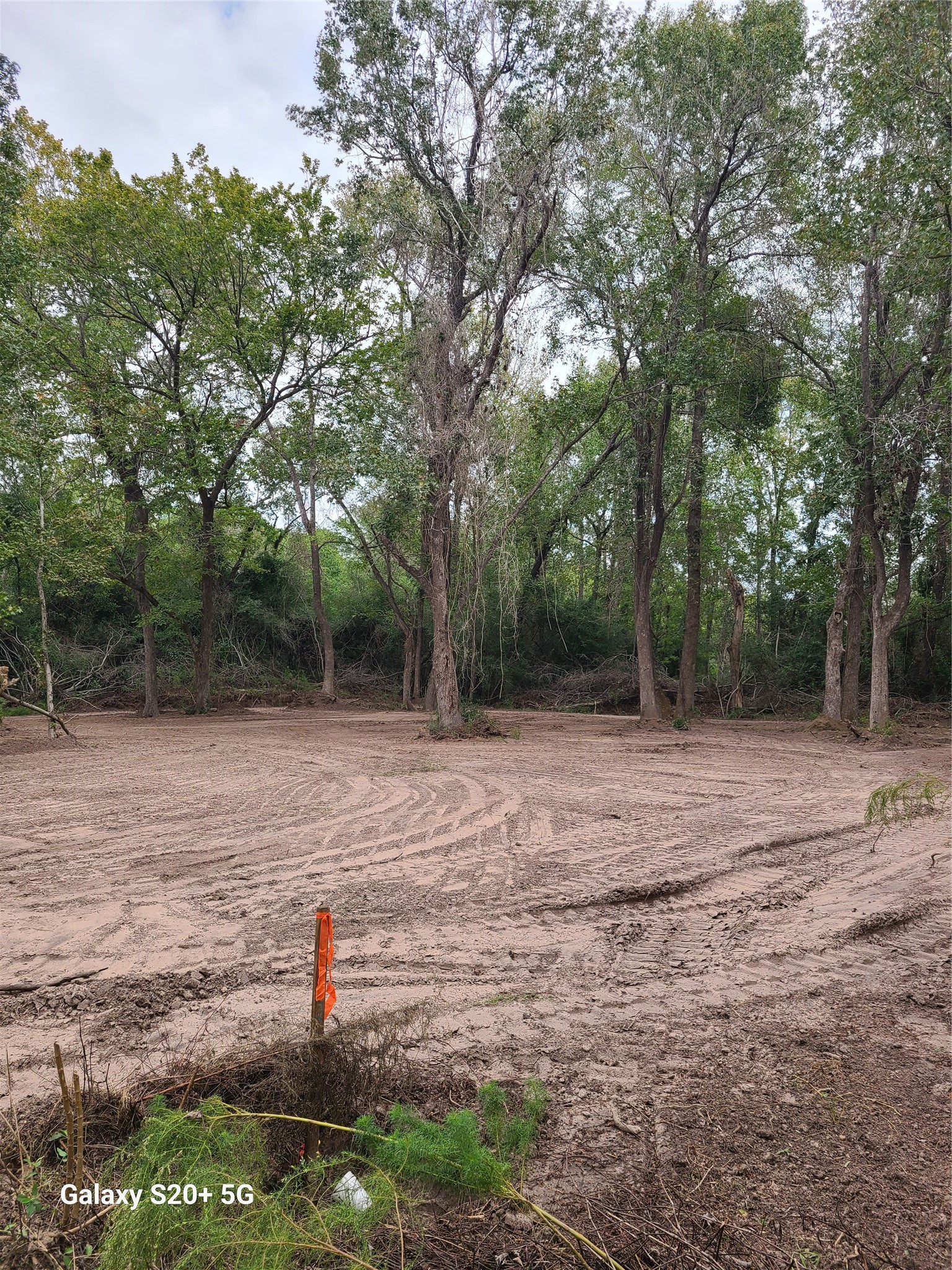 0102 Hardy Street Houston, TX 77073 - Photo 4 of 6 a view of a backyard with large trees