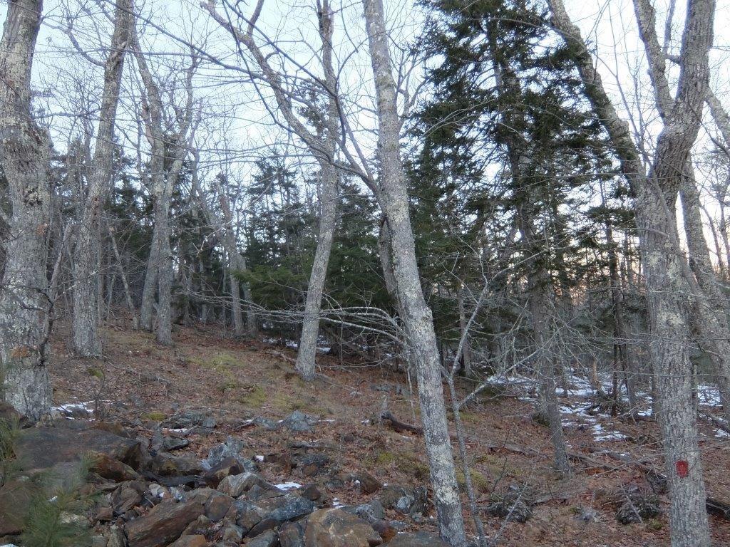 0 Hatchet Mountain Road Hope, ME 04847 - Photo 12 of 31 View of lot from Hatchet Mountain...