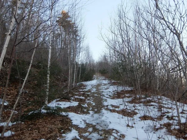 $79,000 | 0 Hatchet Mountain Road, Hope, ME 04847