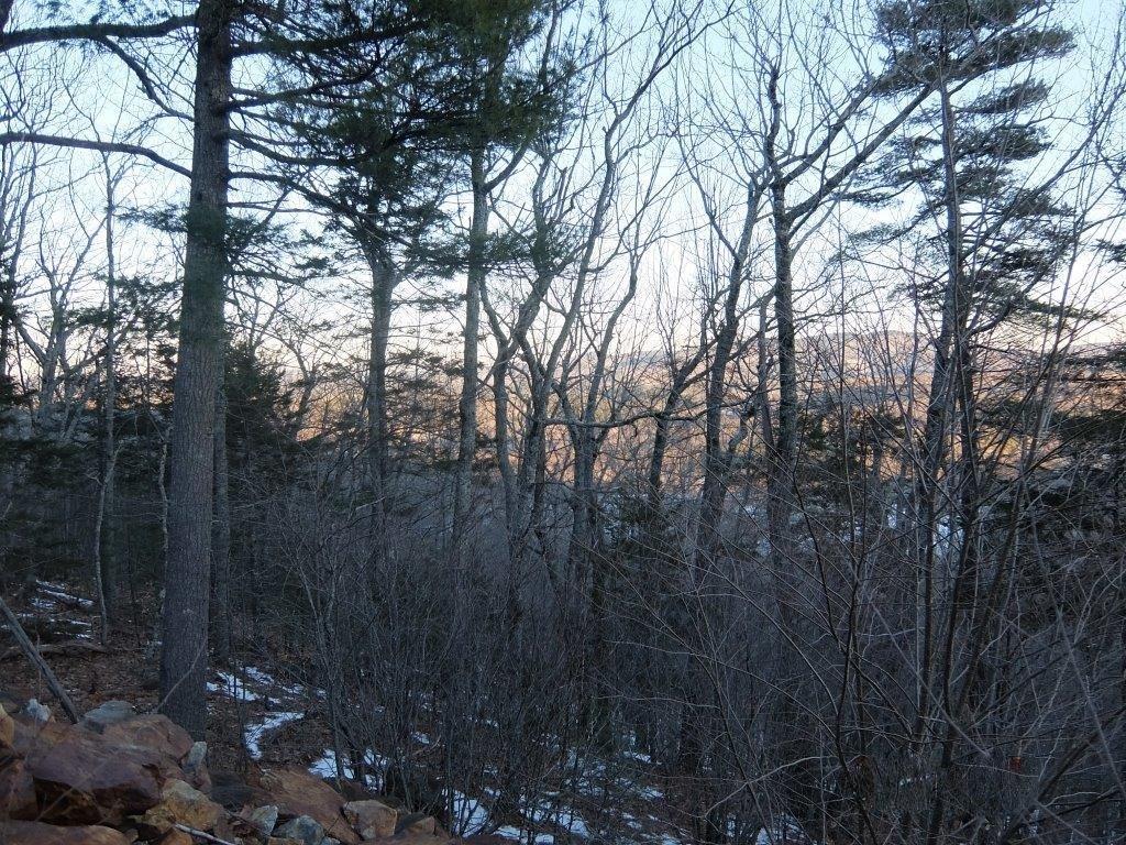 0 Hatchet Mountain Road Hope, ME 04847 - Photo 20 of 31 View of lot from trail.