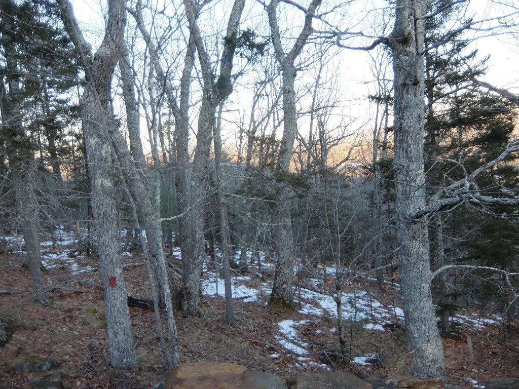 0 Hatchet Mountain Road Hope, ME 04847 - Photo 21 of 31 Subject property from parking area.