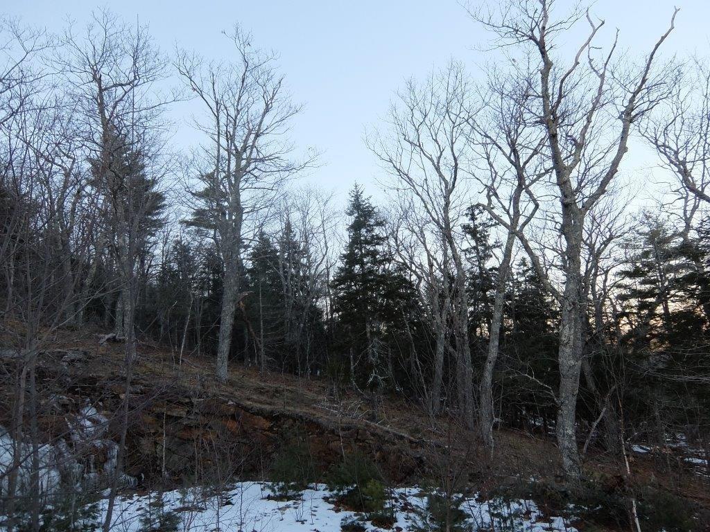 0 Hatchet Mountain Road Hope, ME 04847 - Photo 22 of 31 View of lot from Hatchet Mountain...