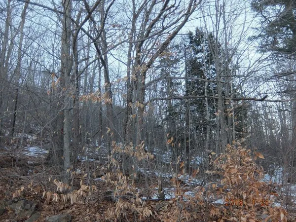 $79,000 | 0 Hatchet Mountain Road, Hope, ME 04847