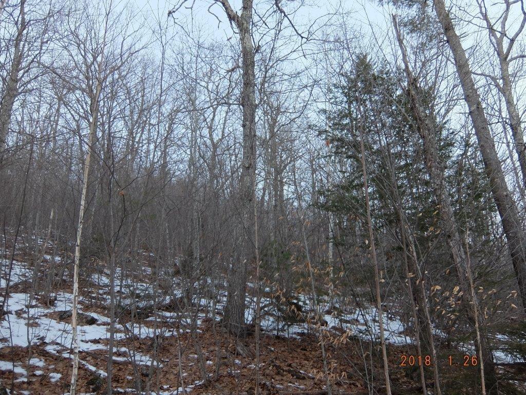 0 Hatchet Mountain Road Hope, ME 04847 - Photo 9 of 31 View of lot from road.