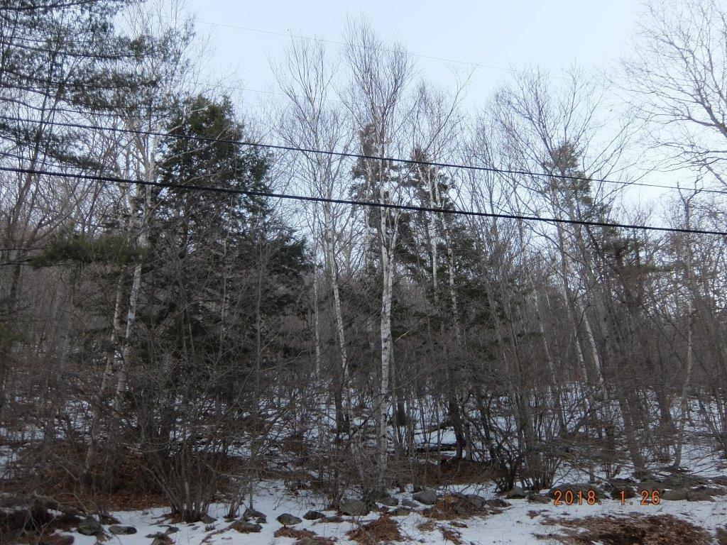 0 Hatchet Mountain Road Hope, ME 04847 - Photo 10 of 31 Looking up towards lot from road....