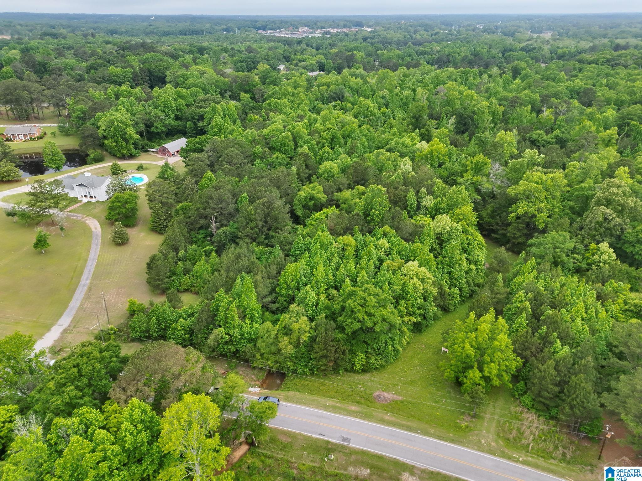 0 Temple Road, Unit 1 Clanton, AL 35045 - Photo 2 of 13