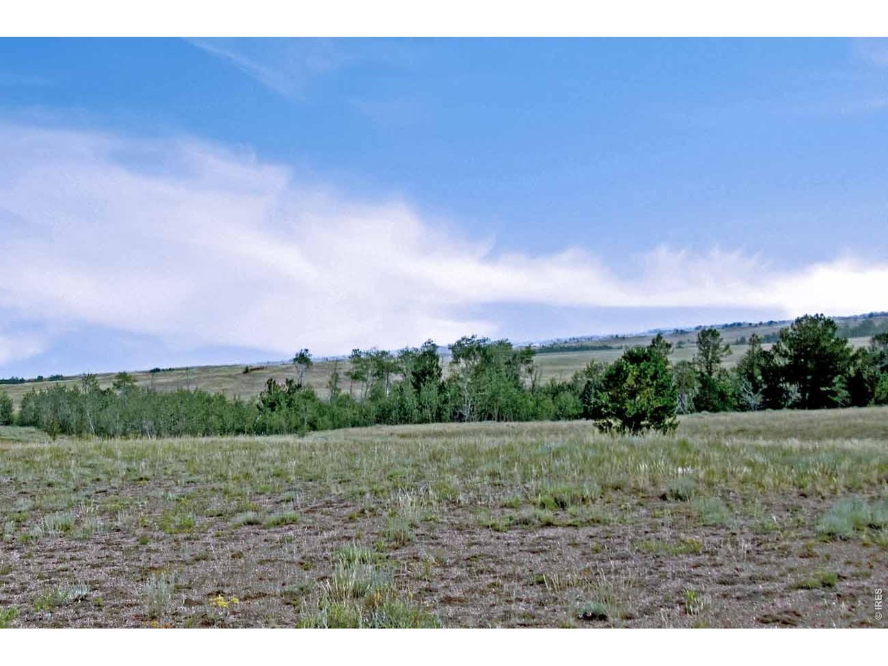 Wilderness Ranch Road Livermore, CO 80536 - Photo 14 of 15 Gallery Image 14