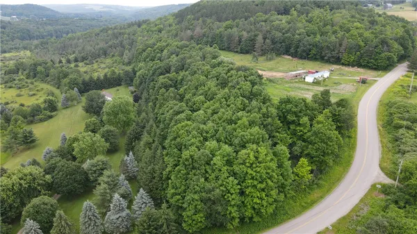 $34,900 | 0 Hornell Reservoir Road, Hornell, NY 14843