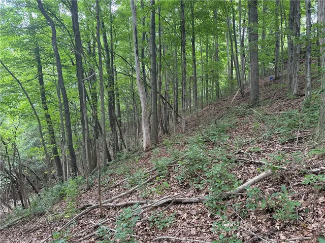 $34,900 | 0 Hornell Reservoir Road, Hornell, NY 14843