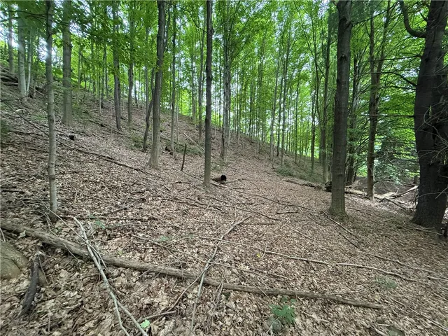 $34,900 | 0 Hornell Reservoir Road, Hornell, NY 14843