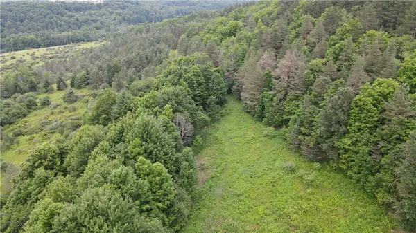 $34,900 | 0 Hornell Reservoir Road, Hornell, NY 14843