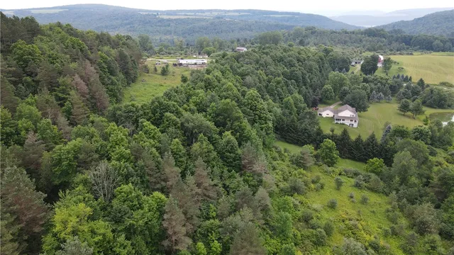 $34,900 | 0 Hornell Reservoir Road, Hornell, NY 14843