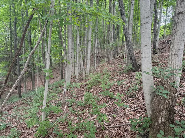 $34,900 | 0 Hornell Reservoir Road, Hornell, NY 14843