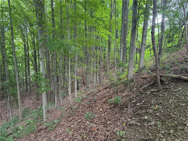 $34,900 | 0 Hornell Reservoir Road, Hornell, NY 14843
