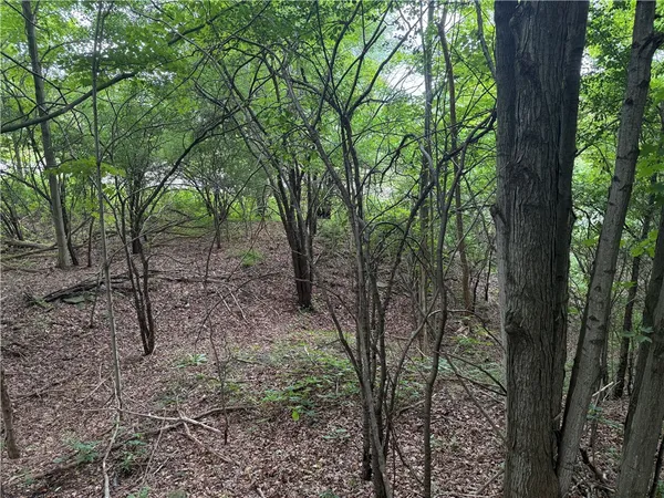 $34,900 | 0 Hornell Reservoir Road, Hornell, NY 14843