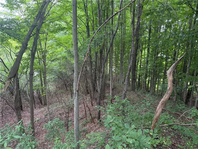 $34,900 | 0 Hornell Reservoir Road, Hornell, NY 14843