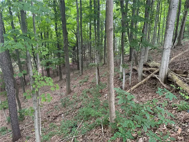 $34,900 | 0 Hornell Reservoir Road, Hornell, NY 14843