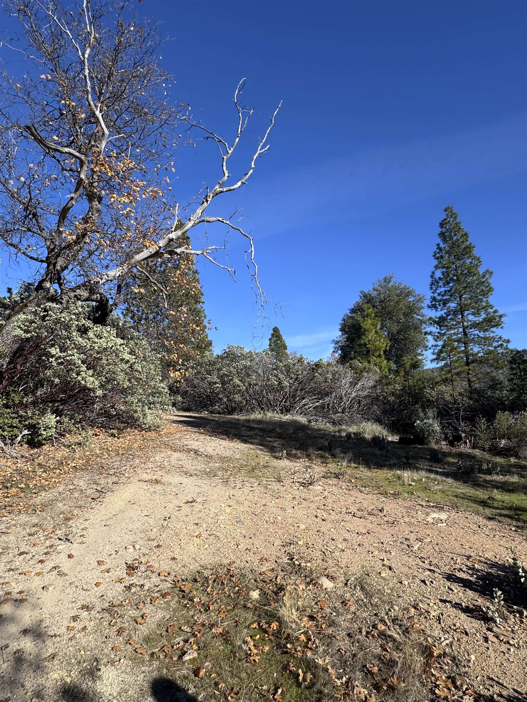 28560 Italian Bar Road Twain Harte, CA 95383 - Photo 4 of 5 a view of a lake view