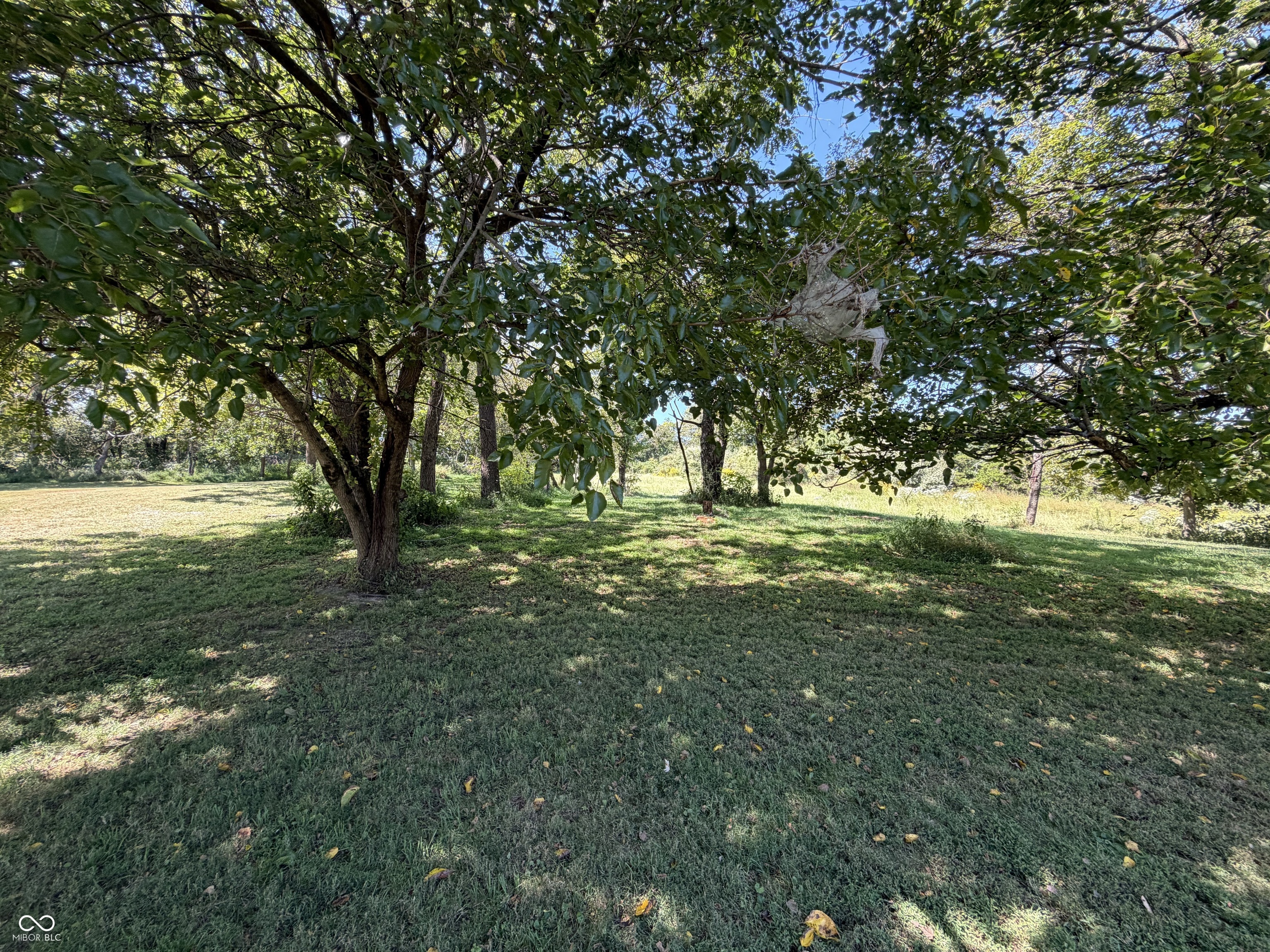 7622 South Becks Grove Road Freetown, IN 47235 - Photo 43 of 47 Gallery Image 43