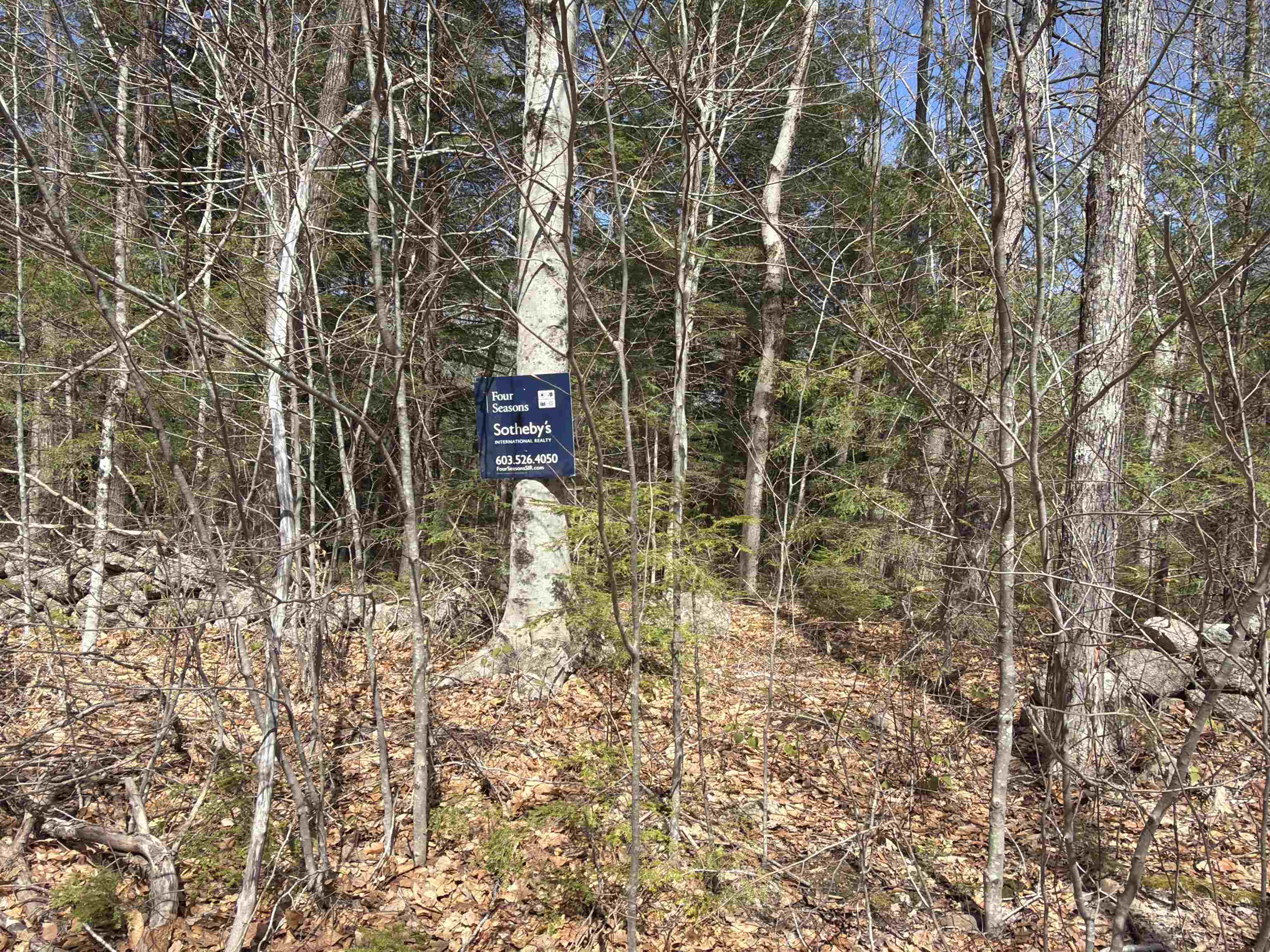 R29-l9 Roxbury Road, Unit LOT 9 Meredith, NH 03253 - Photo 6 of 36