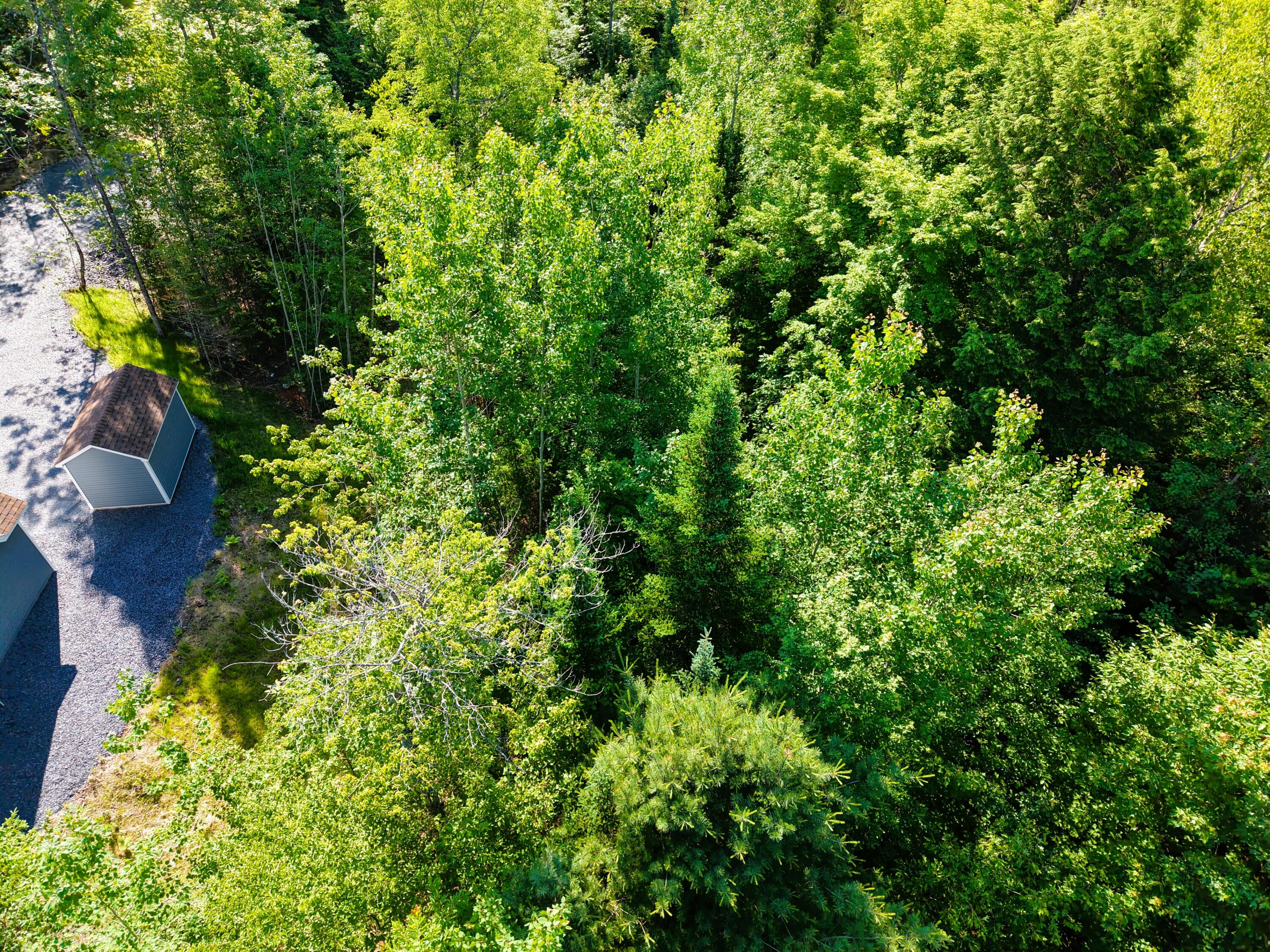 32 East Shore Road Embden, ME 04958 - Photo 38 of 38 DJI_20260629083637_0011_D
