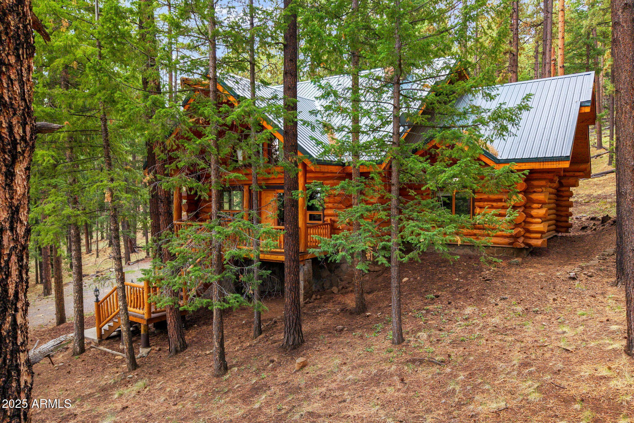 30 N1068 Greer, AZ 85927 - Photo 4 of 50 a backyard of a house with lots of green space
