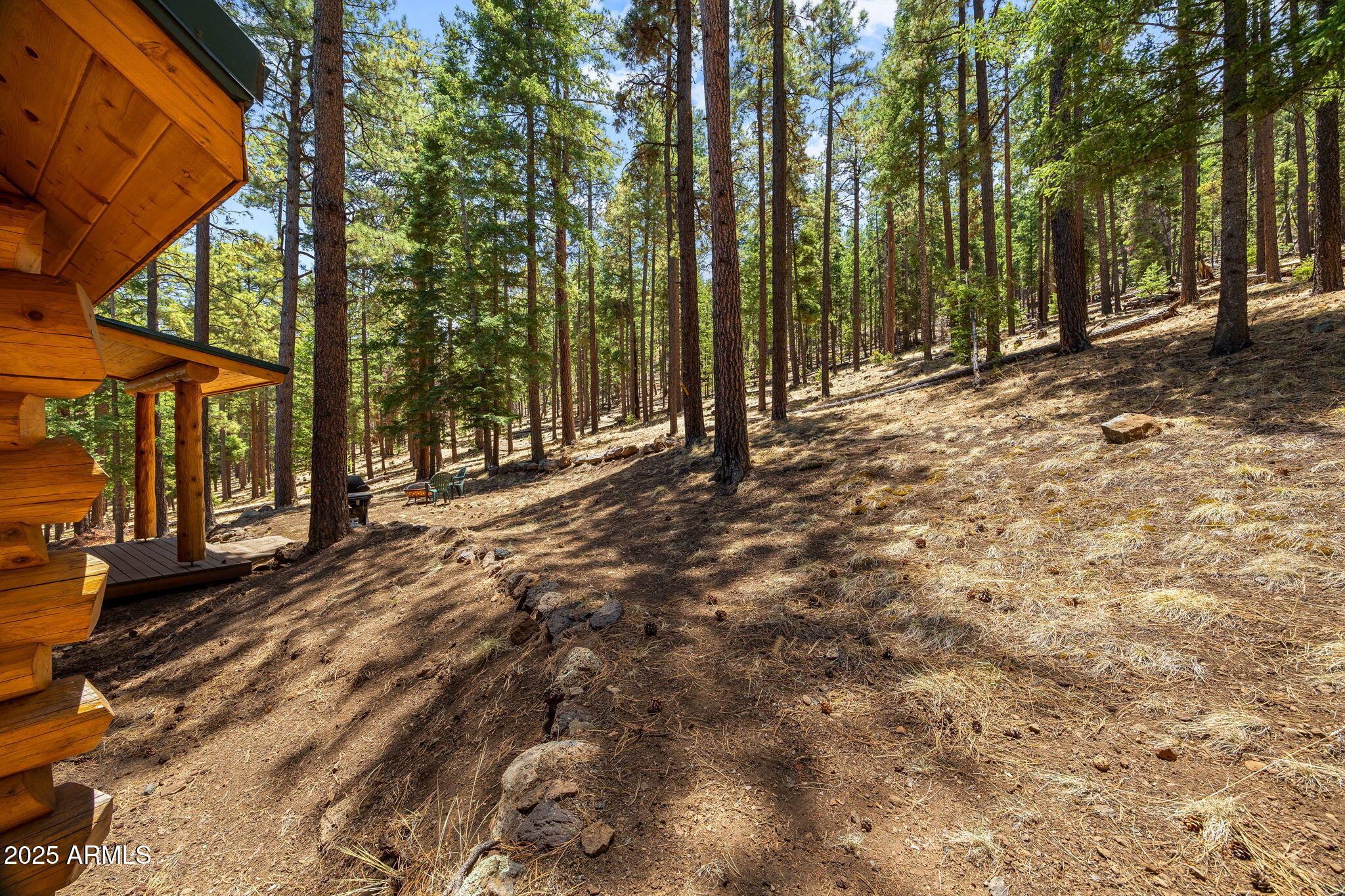 30 N1068 Greer, AZ 85927 - Photo 43 of 50 a view of a forest with trees on a brick house