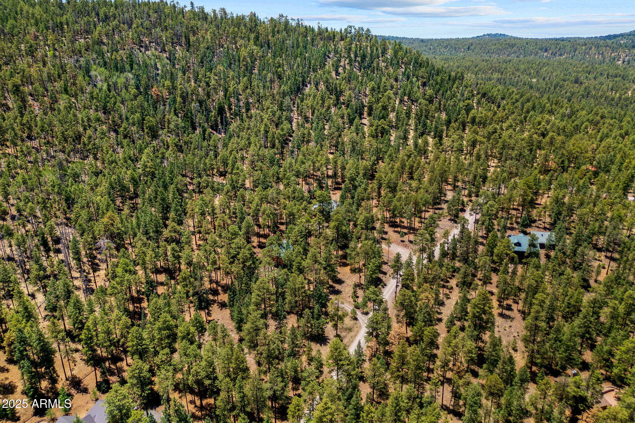 30 N1068 Greer, AZ 85927 - Photo 46 of 50 a view of a green field