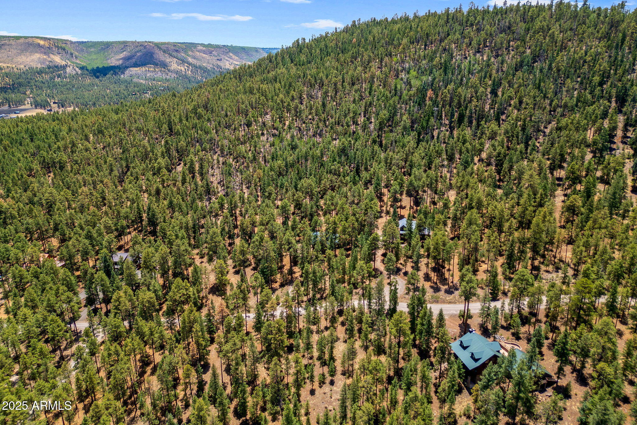 30 N1068 Greer, AZ 85927 - Photo 47 of 50 a view of a lush green field with a tree in the background