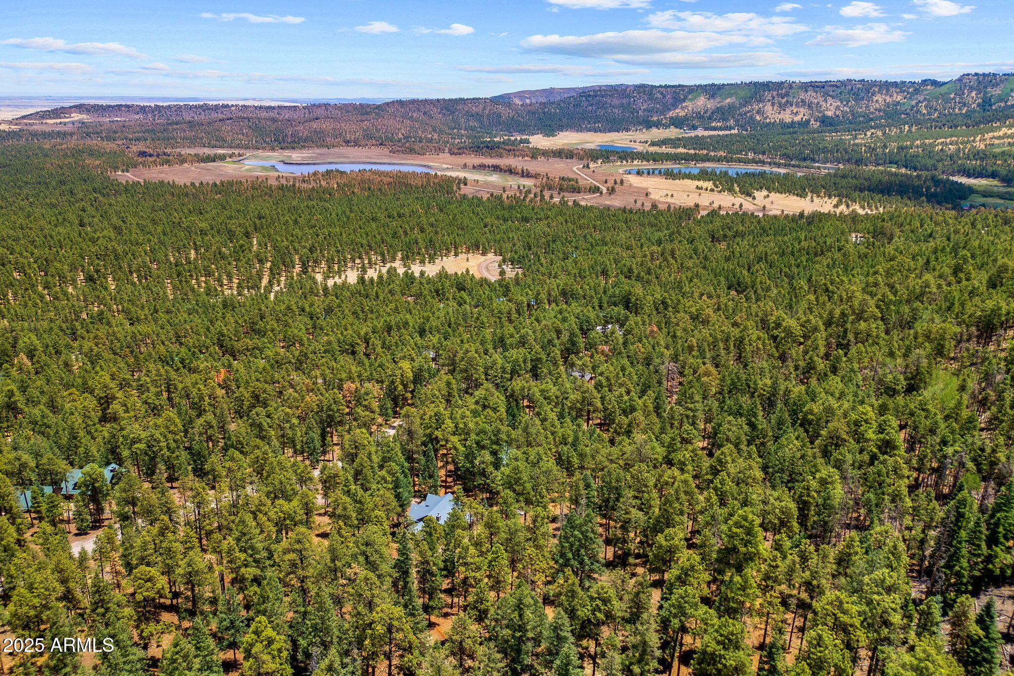 30 N1068 Greer, AZ 85927 - Photo 49 of 50 a view of lake with mountain