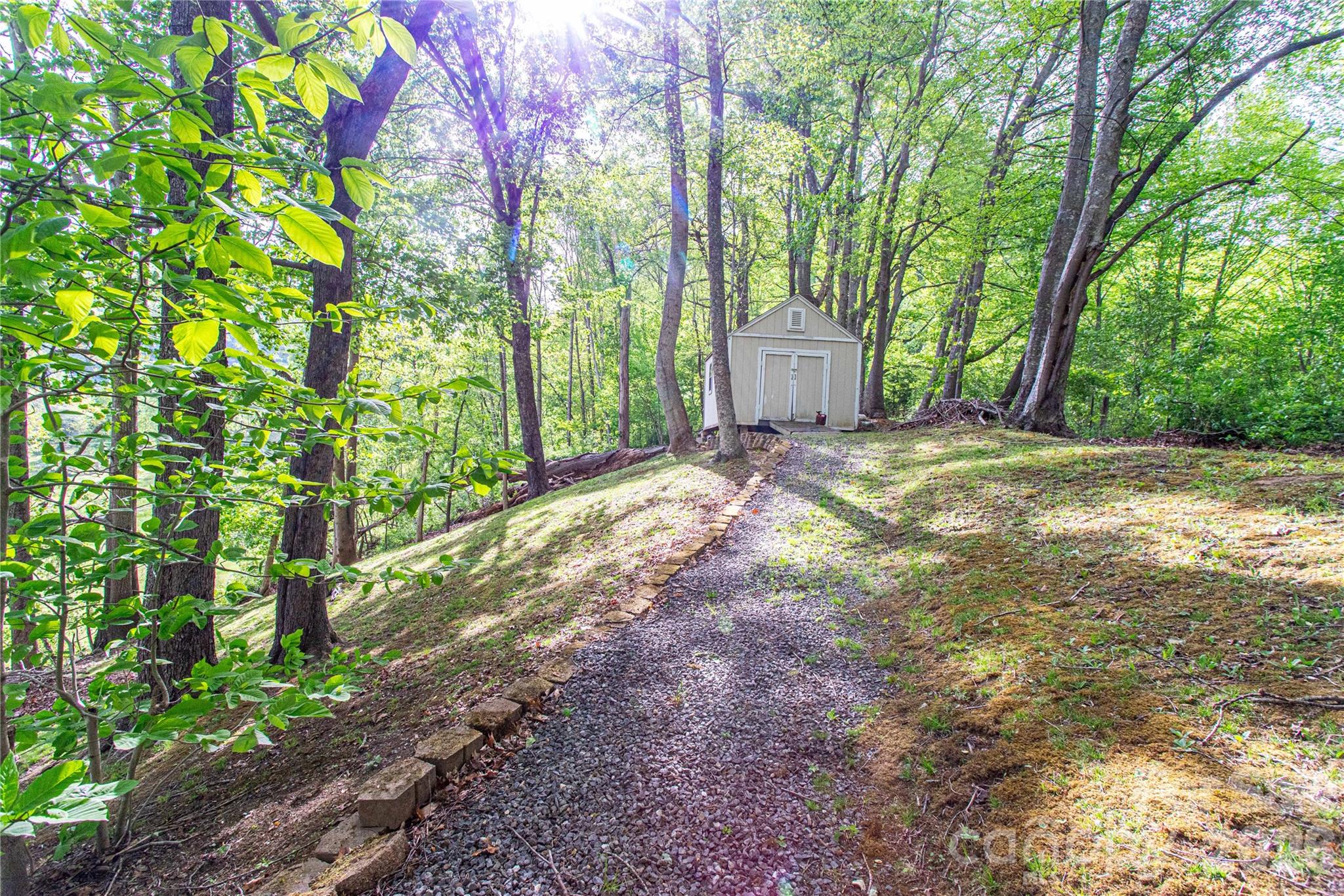 115 Knoll Ridge Waynesville, NC 28785 - Photo 30 of 35 a view of a yard with plants and trees