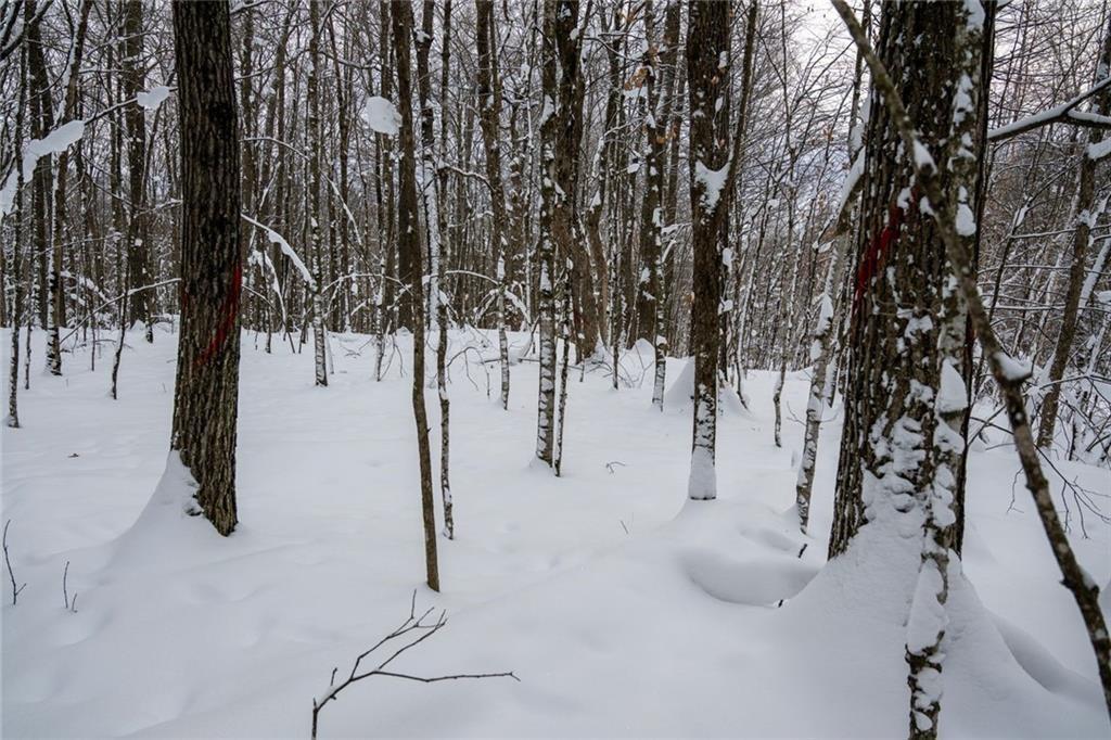 8 Comet Road Exeland, WI 54835 - Photo 12 of 23