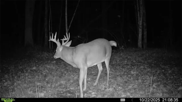 $663,355 | 8 Comet Road, Exeland, WI 54835