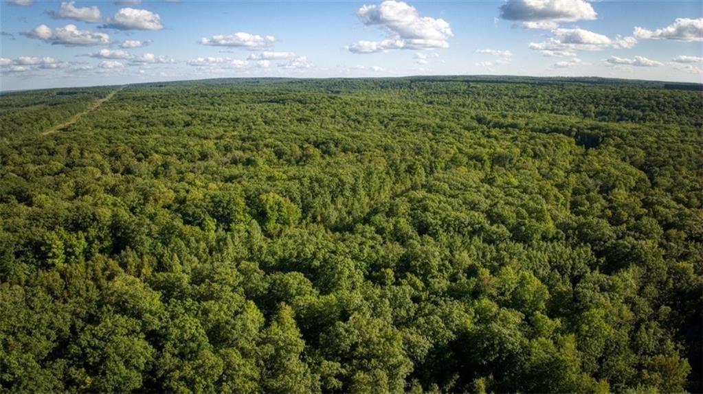 8 Comet Road Exeland, WI 54835 - Photo 2 of 23