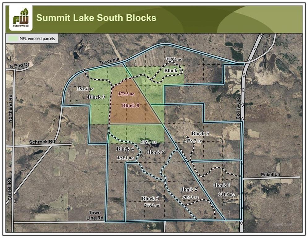 8 Comet Road Exeland, WI 54835 - Photo 6 of 23