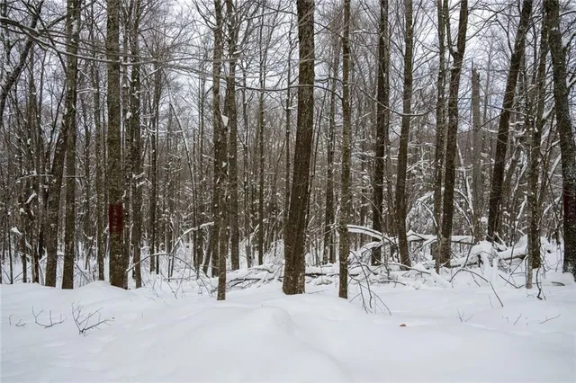 $663,355 | 8 Comet Road, Exeland, WI 54835