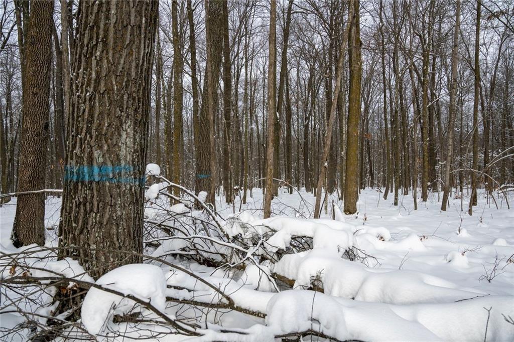 8 Comet Road Exeland, WI 54835 - Photo 8 of 21