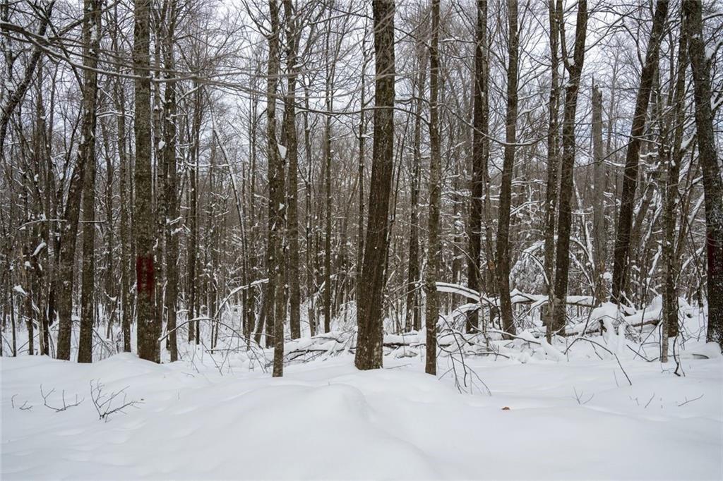 8 Comet Road Exeland, WI 54835 - Photo 9 of 23