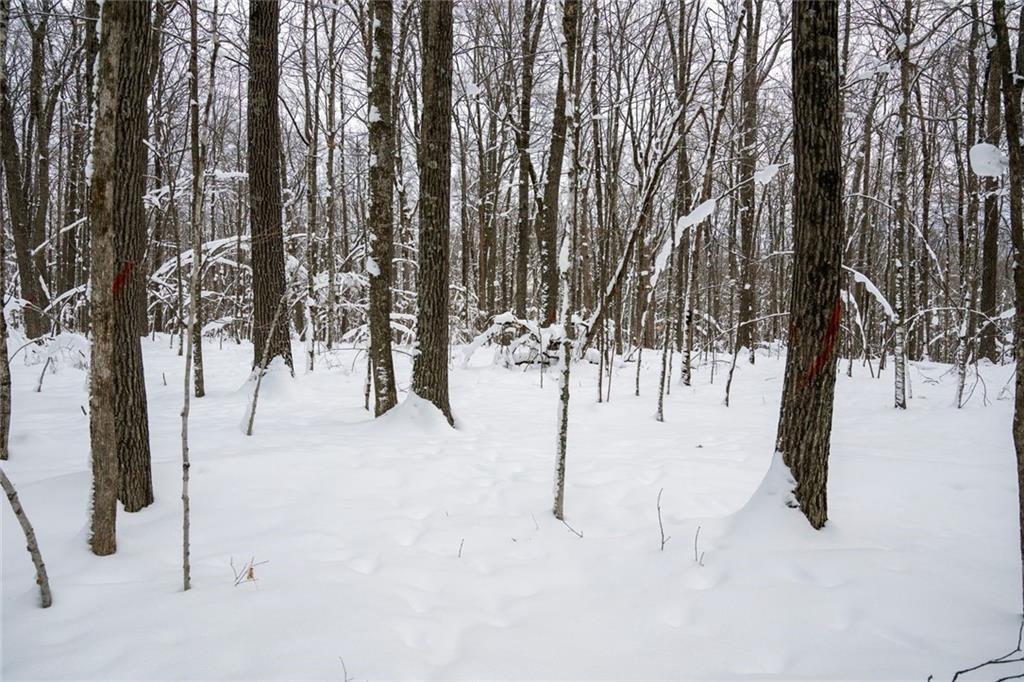 8 Comet Road Exeland, WI 54835 - Photo 9 of 21