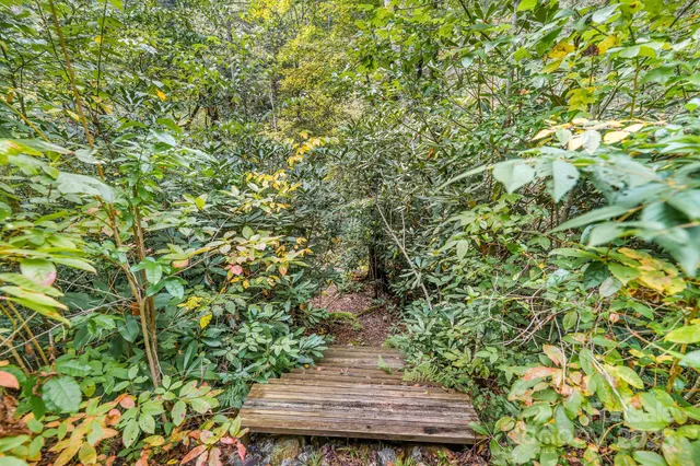 a view of a lake with a tree
